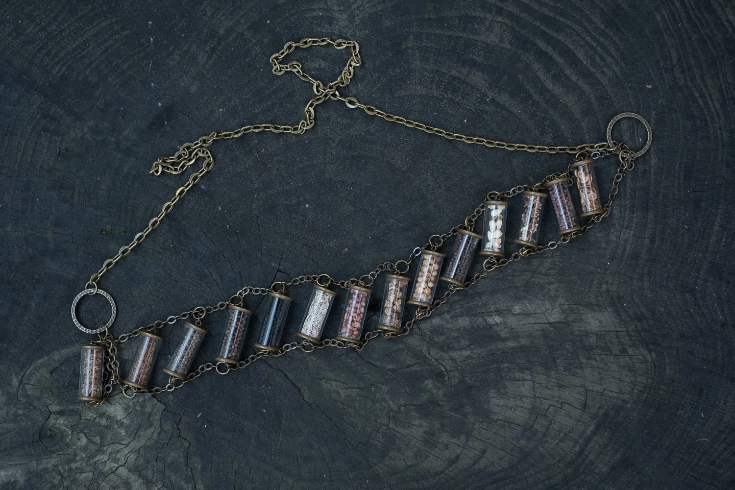 Seed Bank Bandolier