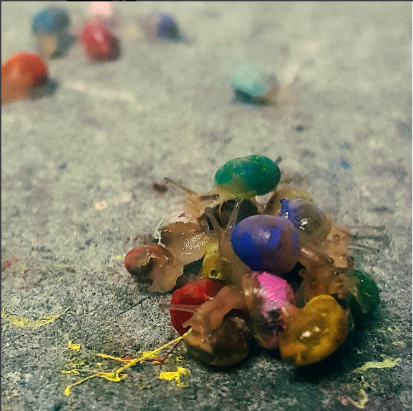 Snail pile.