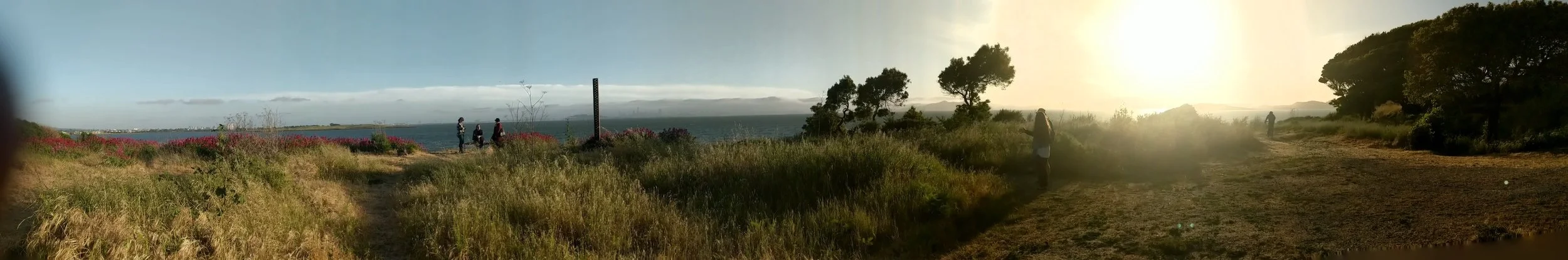 PANO_20190504_190211.vr.jpg