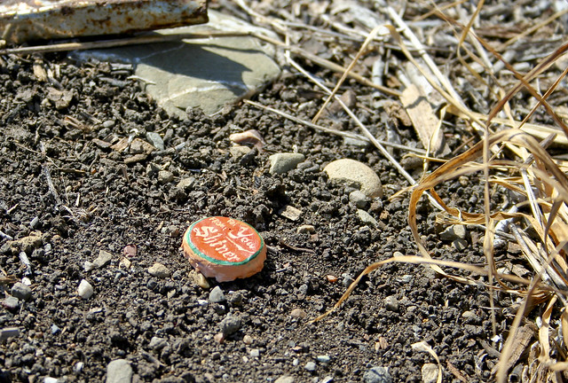 Shiner Bock Urban Camo Seed Bomb Installation