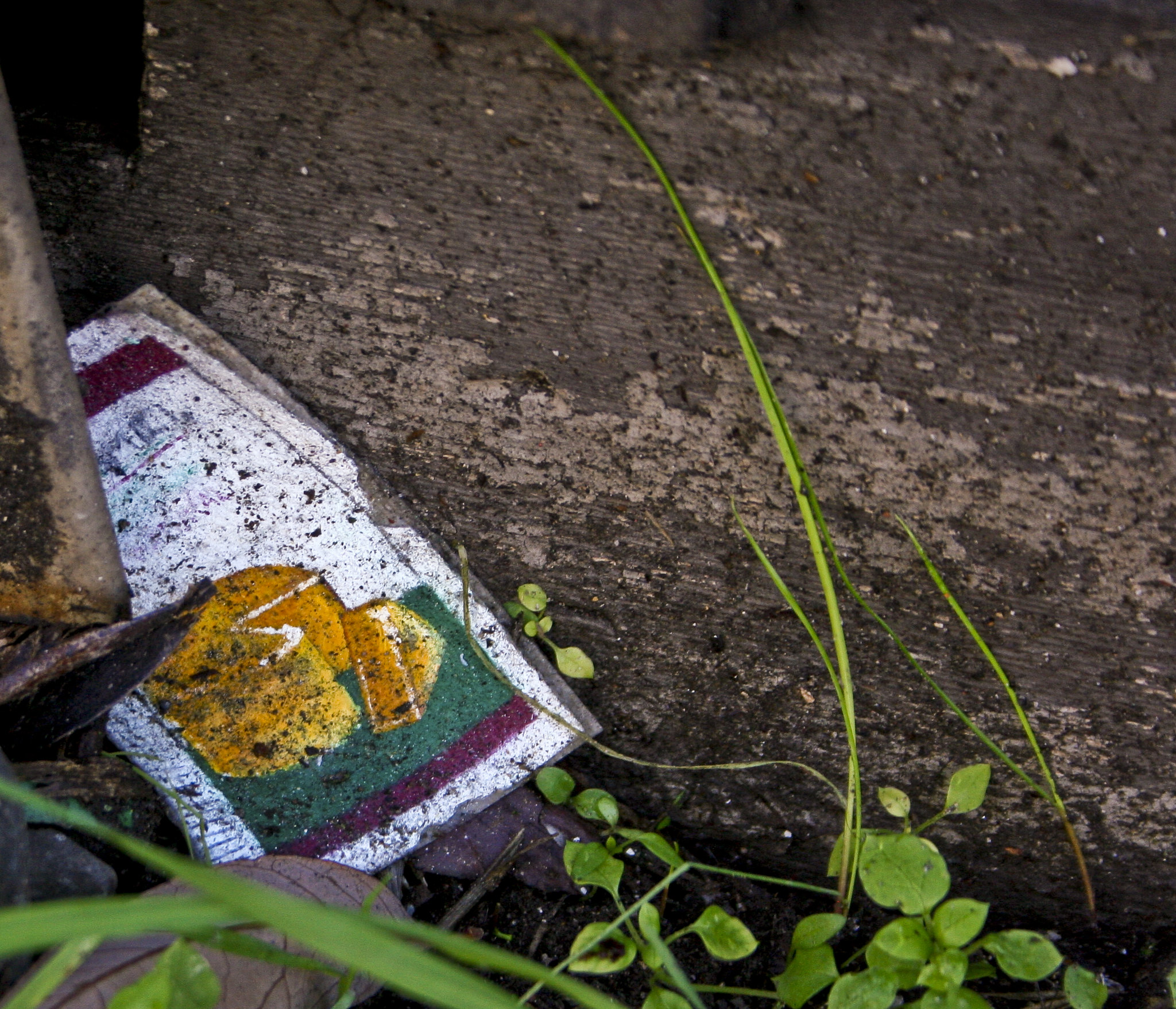 Parmesan Cheese Urban Camo Seed Bomb Installation