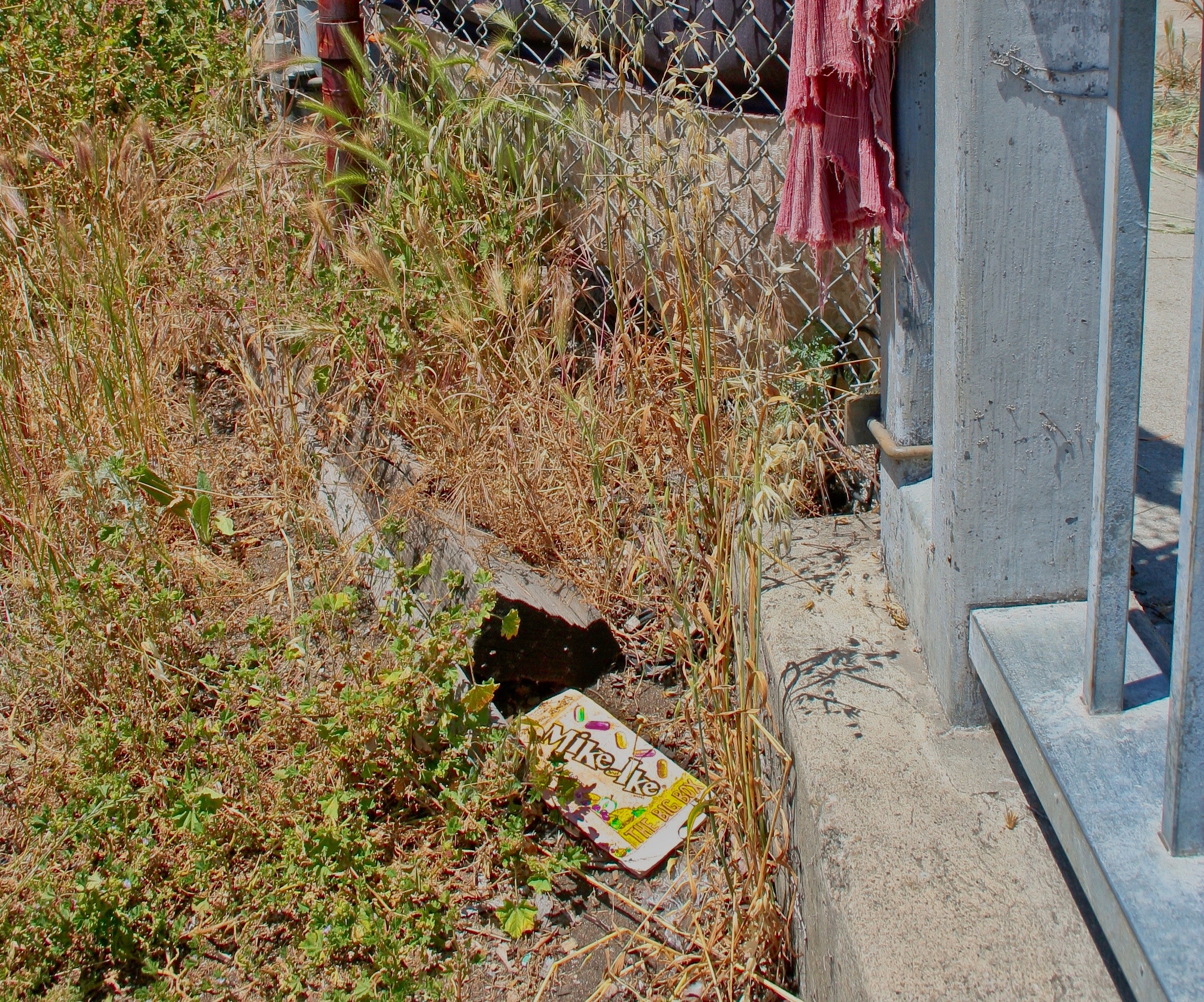 Mike and Ike Urban Camo Seed Bomb Installation