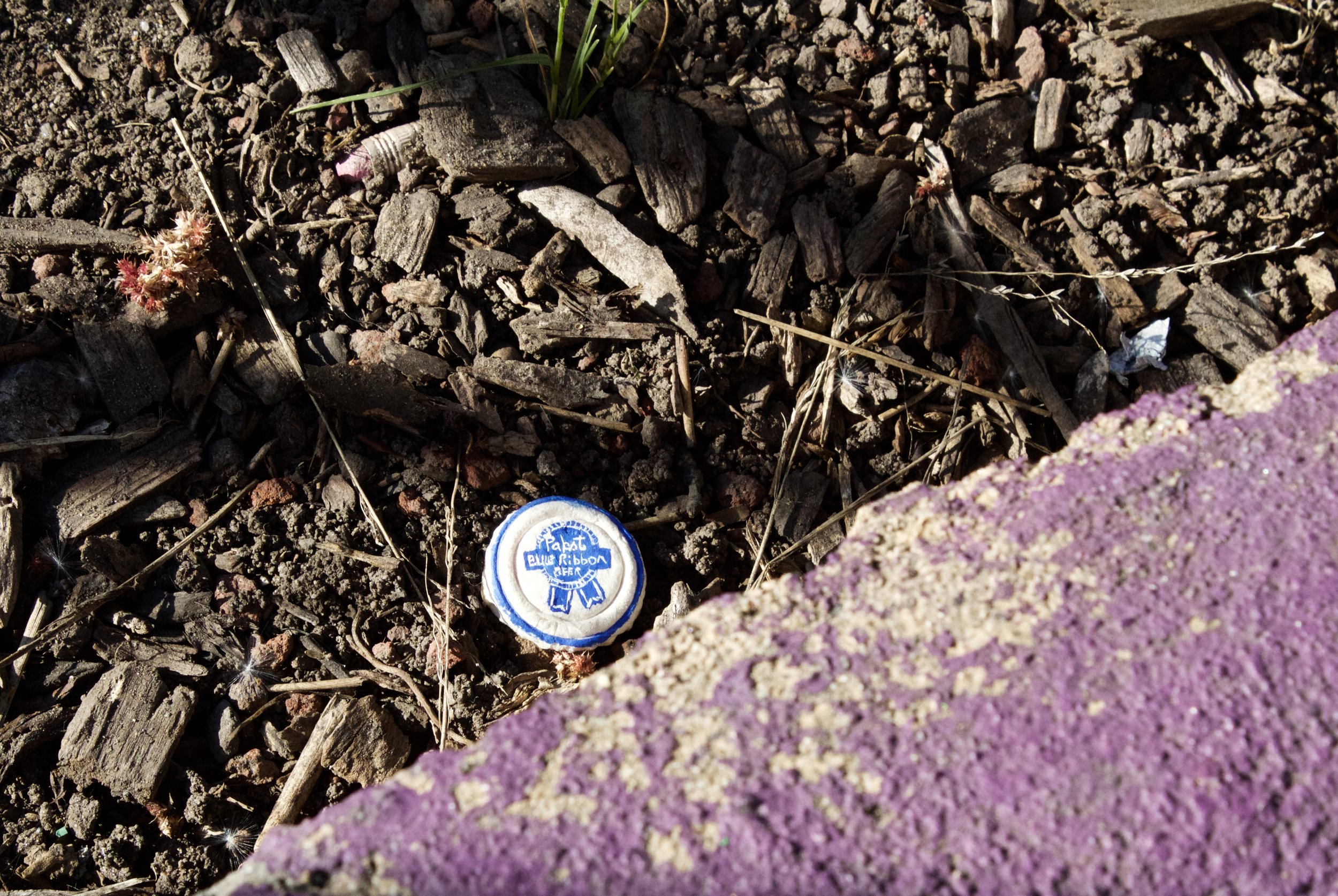 Pabst Blue Ribbon Urban Camo Seed Bomb Installation