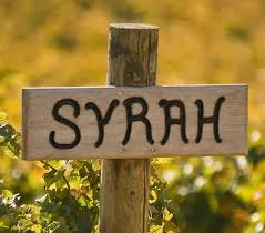 Syrah.jpg