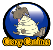 Crazy Canines