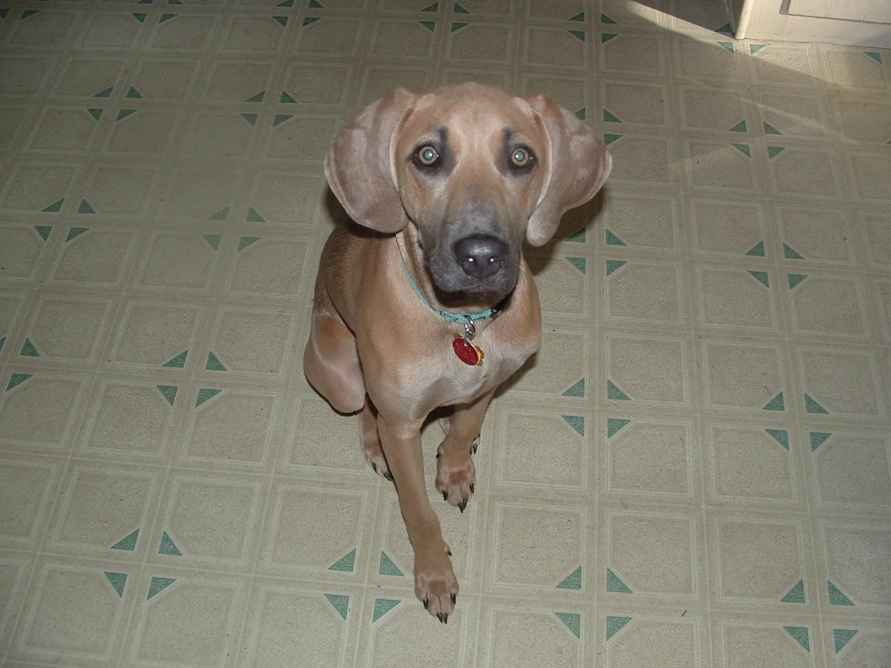 dscf0047_0.jpg