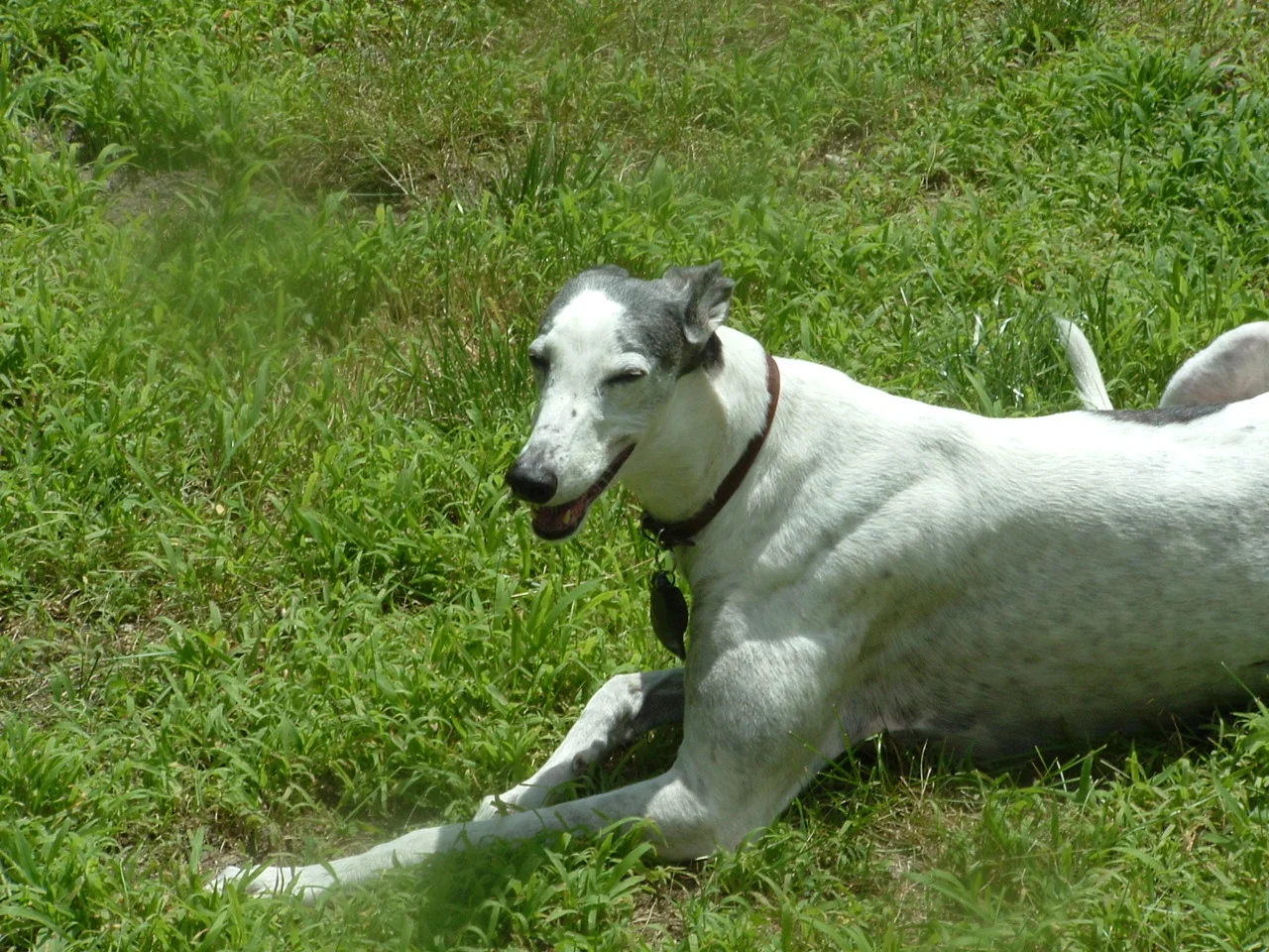 dscf0020_1.jpg