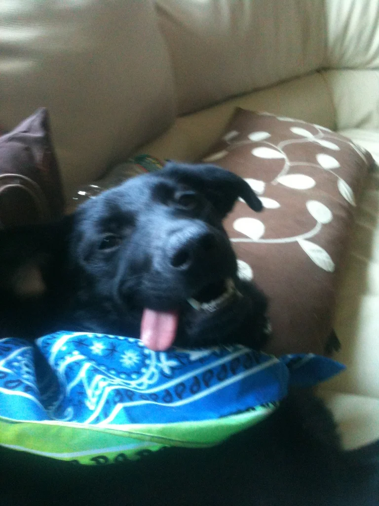 pepper.jpg