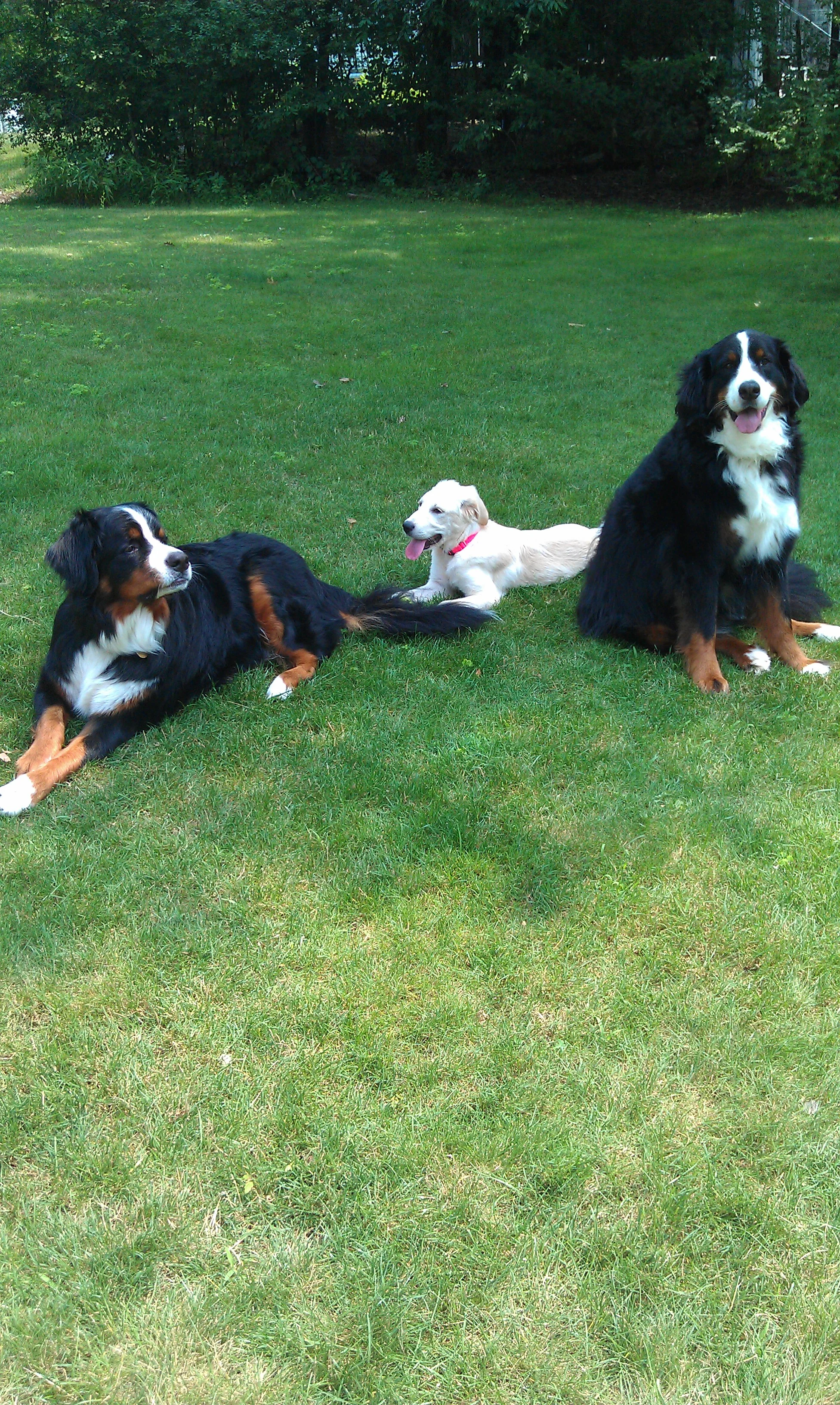 3-amigos.jpg