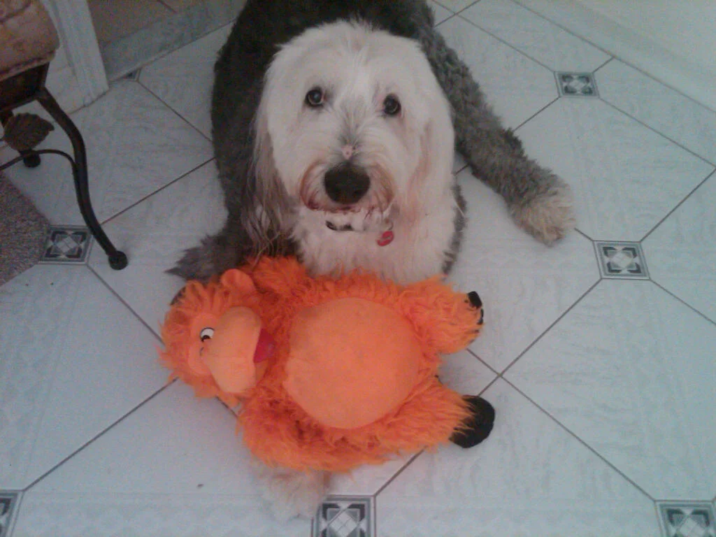 toby-m.jpg