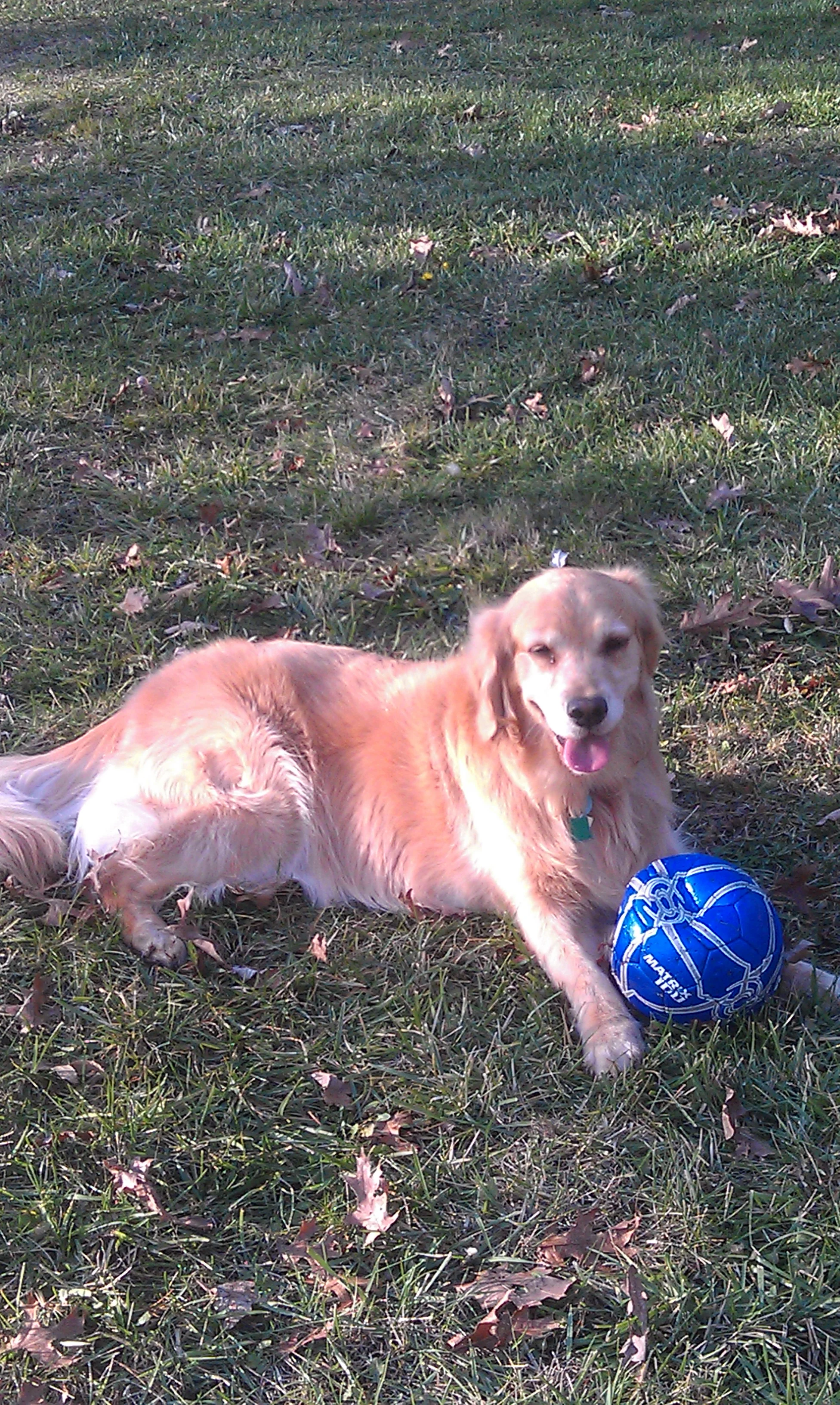 sandy-ball.jpg