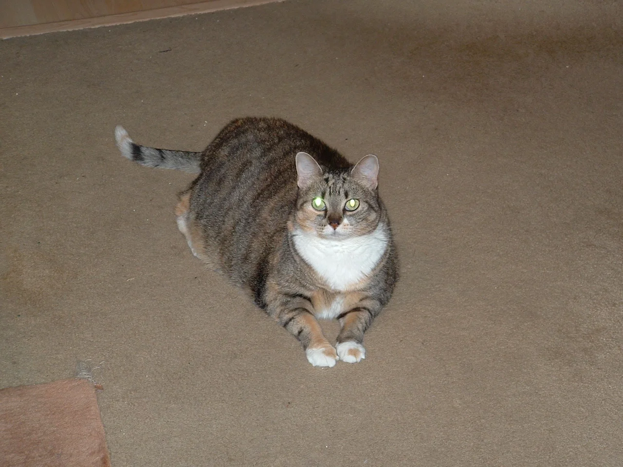 dscf0011_0.jpg