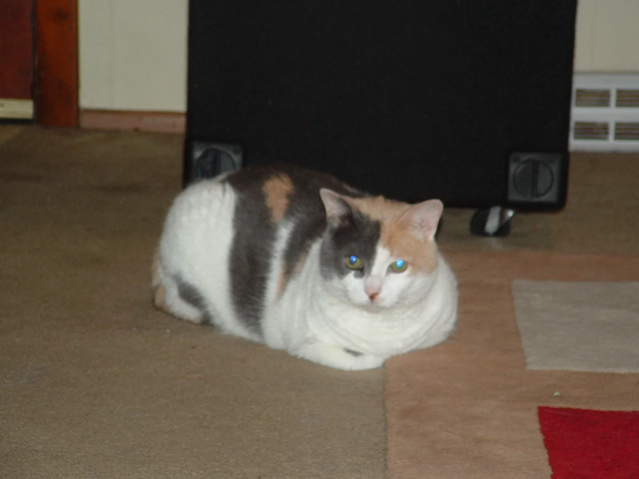 dscf0008_2.jpg