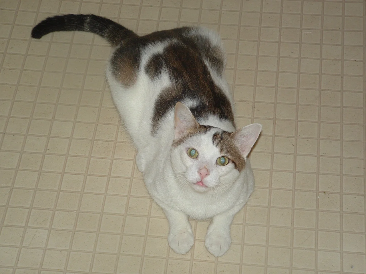 dscf0072.jpg