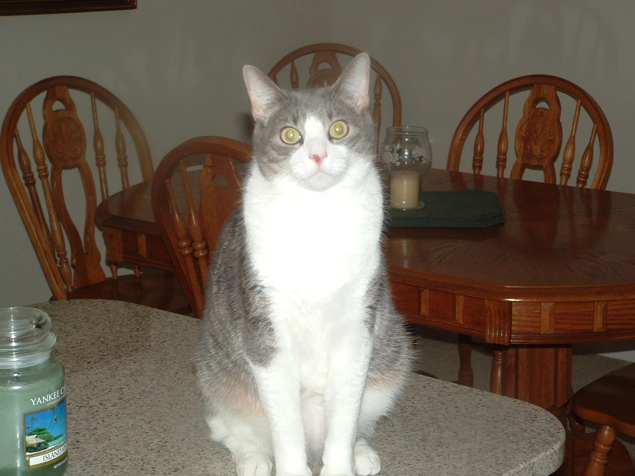 dscf0028_0.jpg