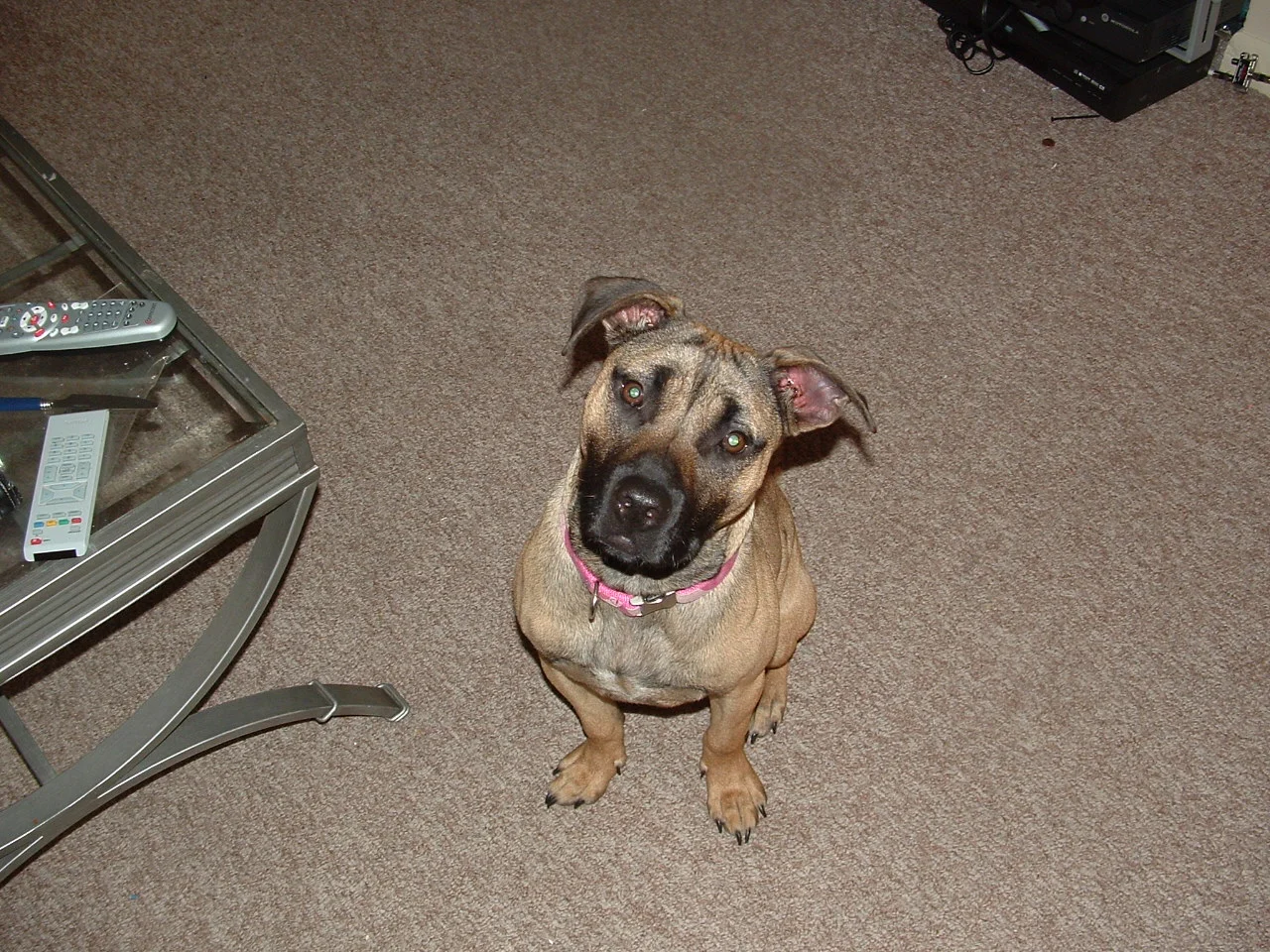 dscf0020_2.jpg