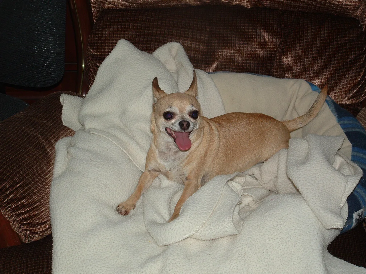 dscf0018_0.jpg