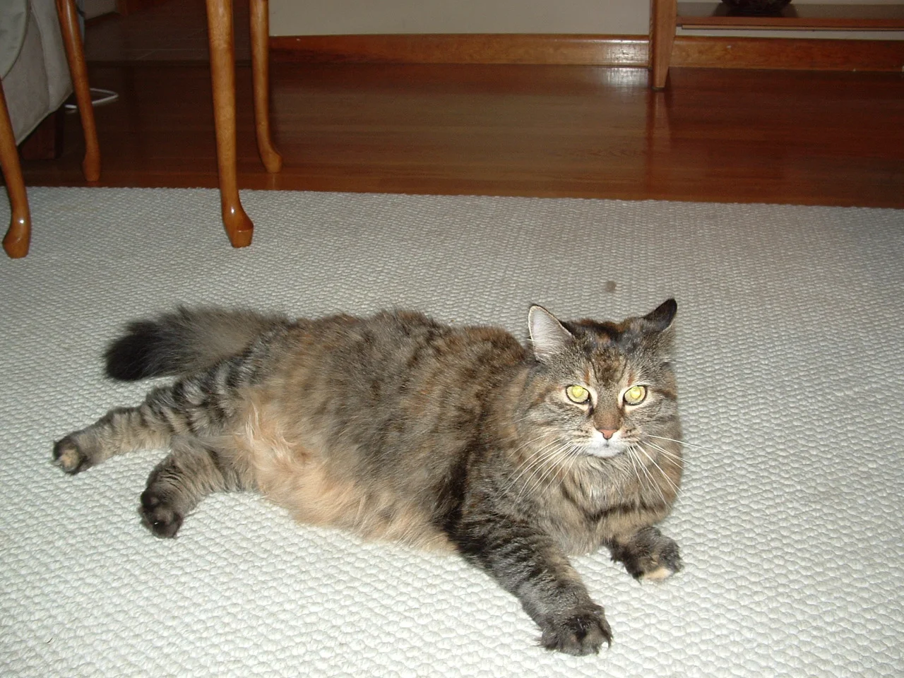 dscf0015_0.jpg