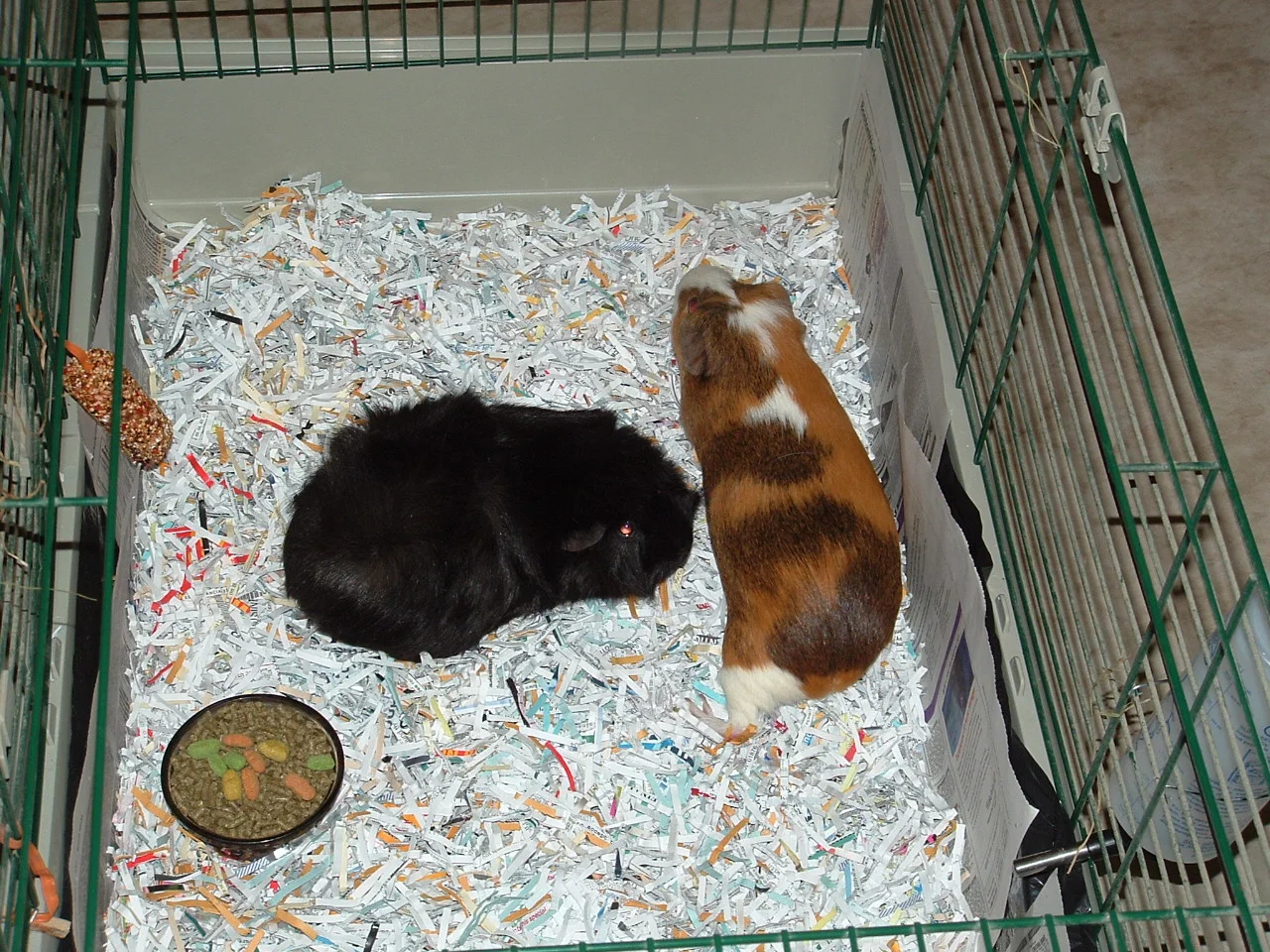 dscf0008_1.jpg