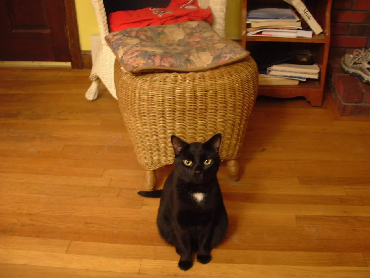 dscf0006.jpg