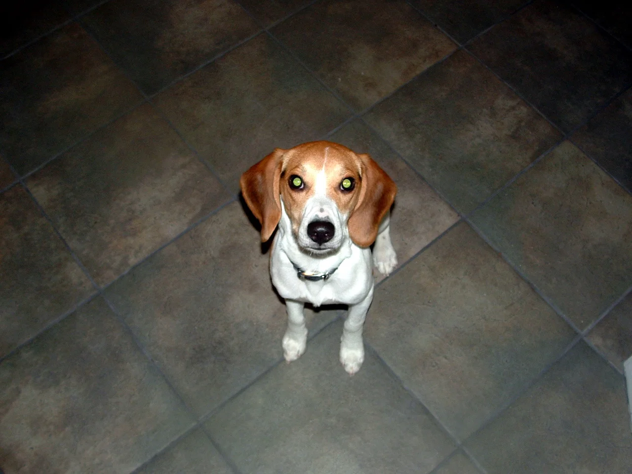 dscf0006_0.jpg