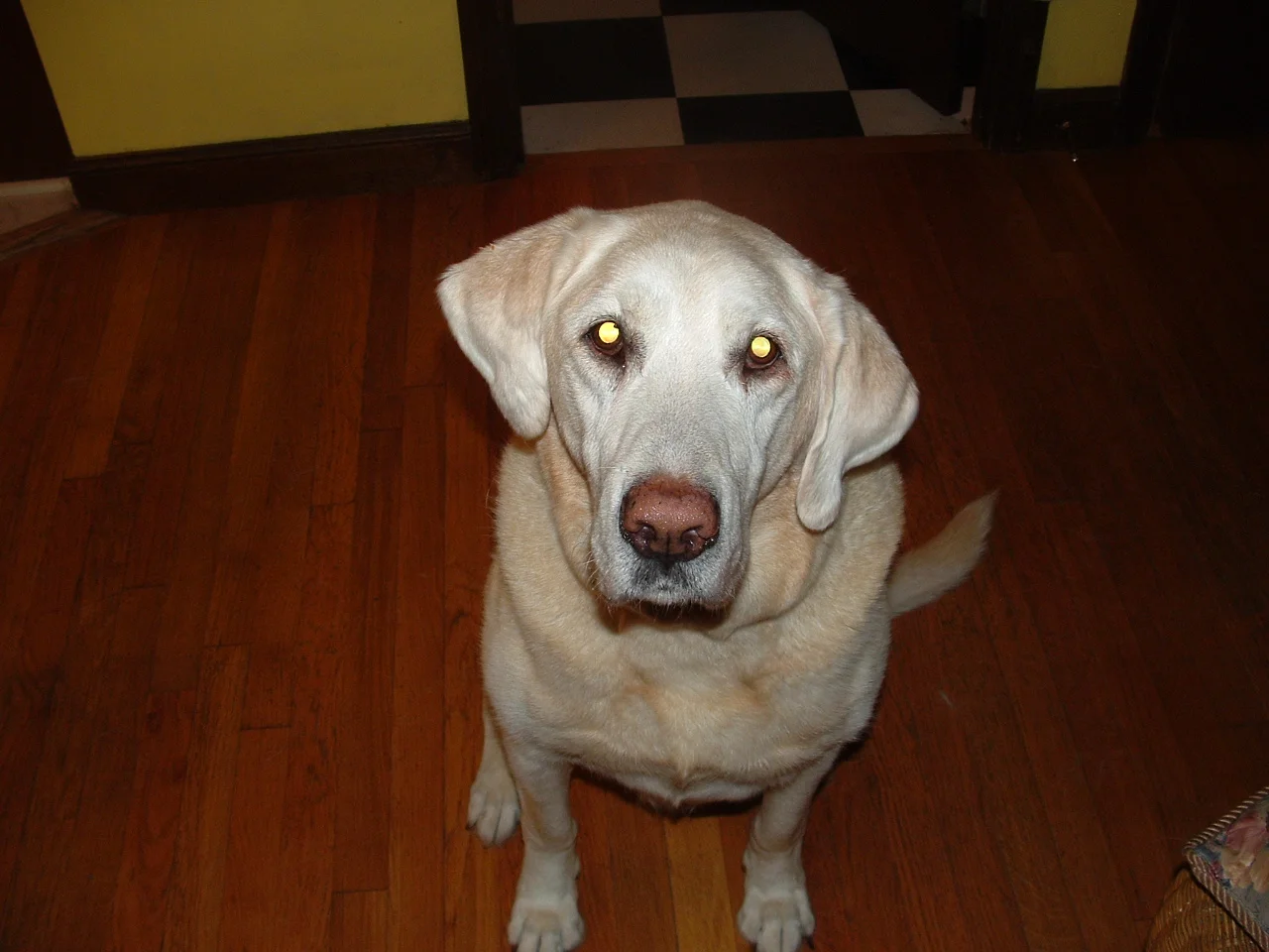 dscf0005_2.jpg
