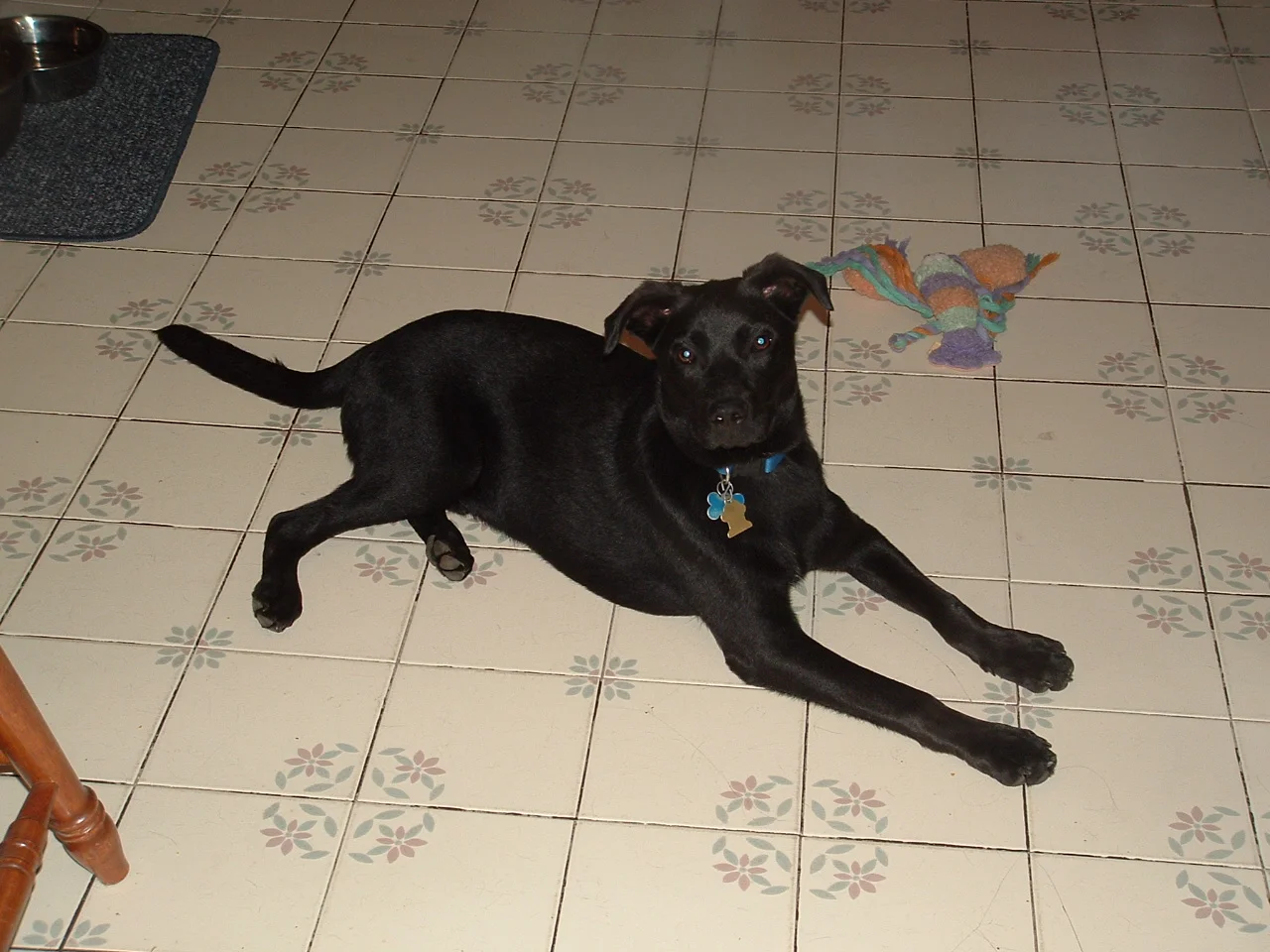 dscf0001_3.jpg