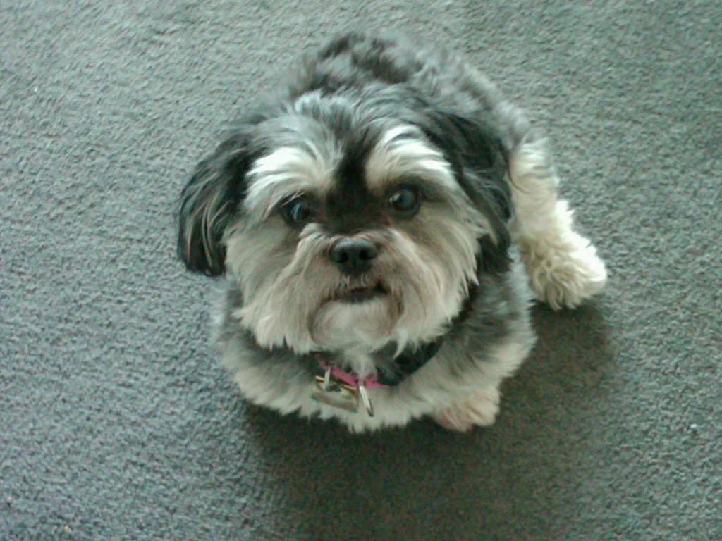 zoey-jen.jpg