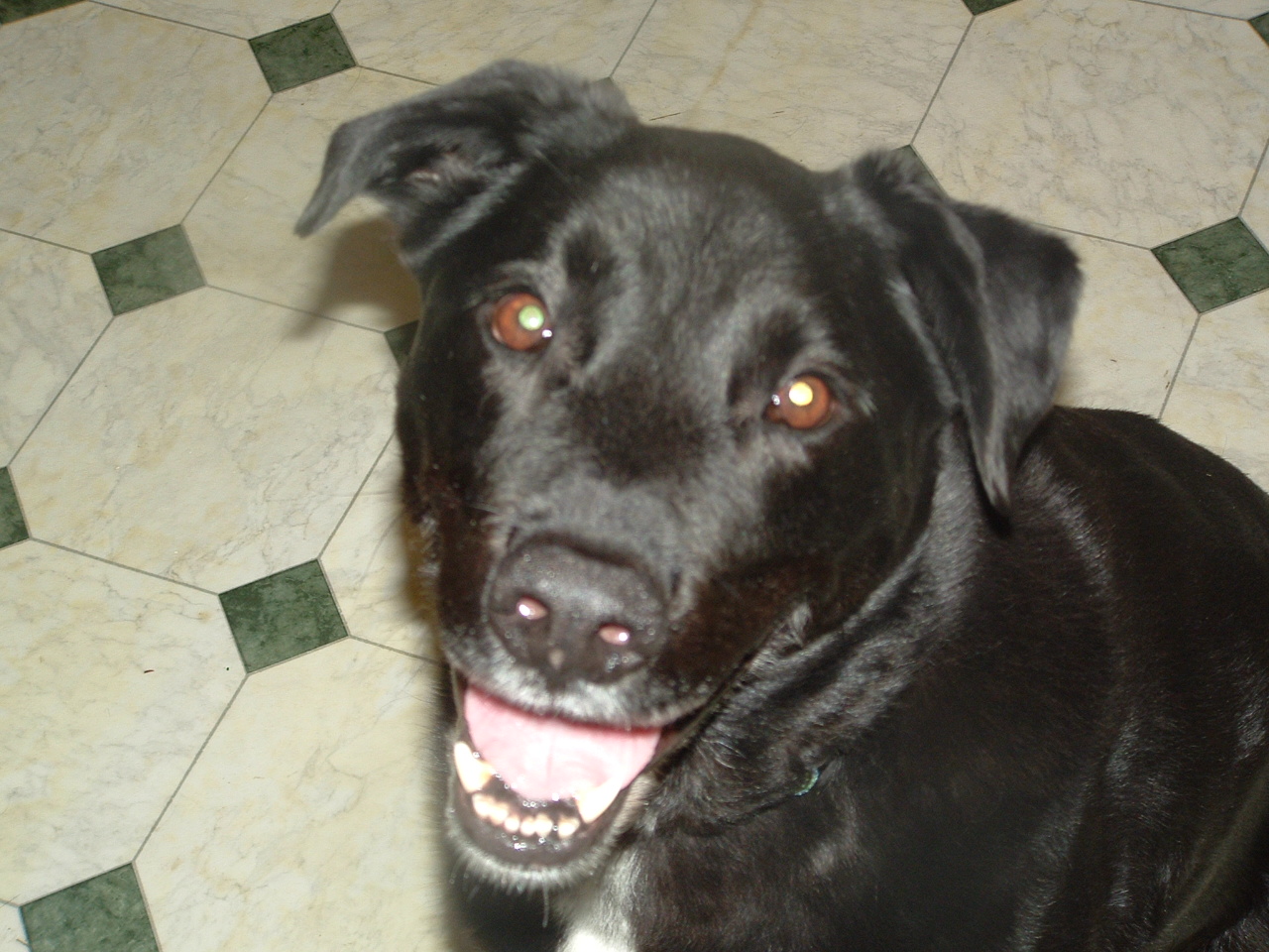 dscf0042.jpg