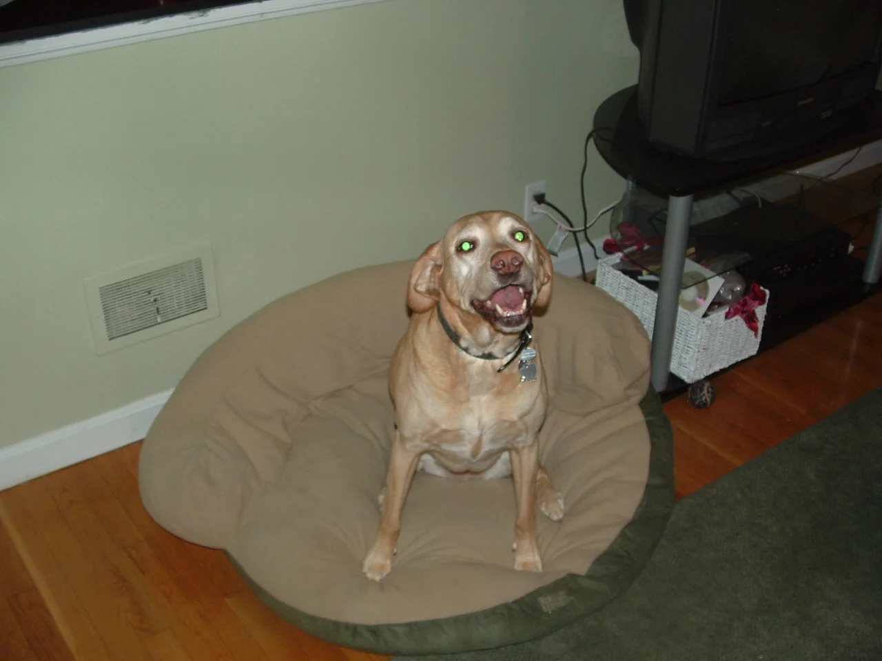 dscf0012.jpg