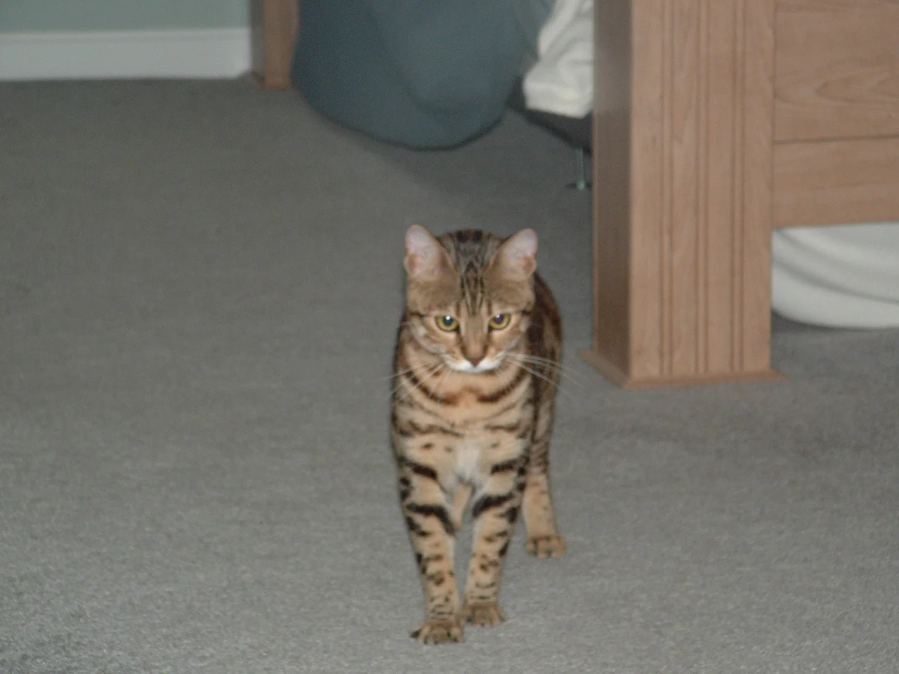 dscf0005_0.jpg