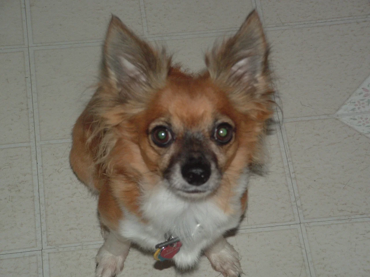 dscf0008.jpg