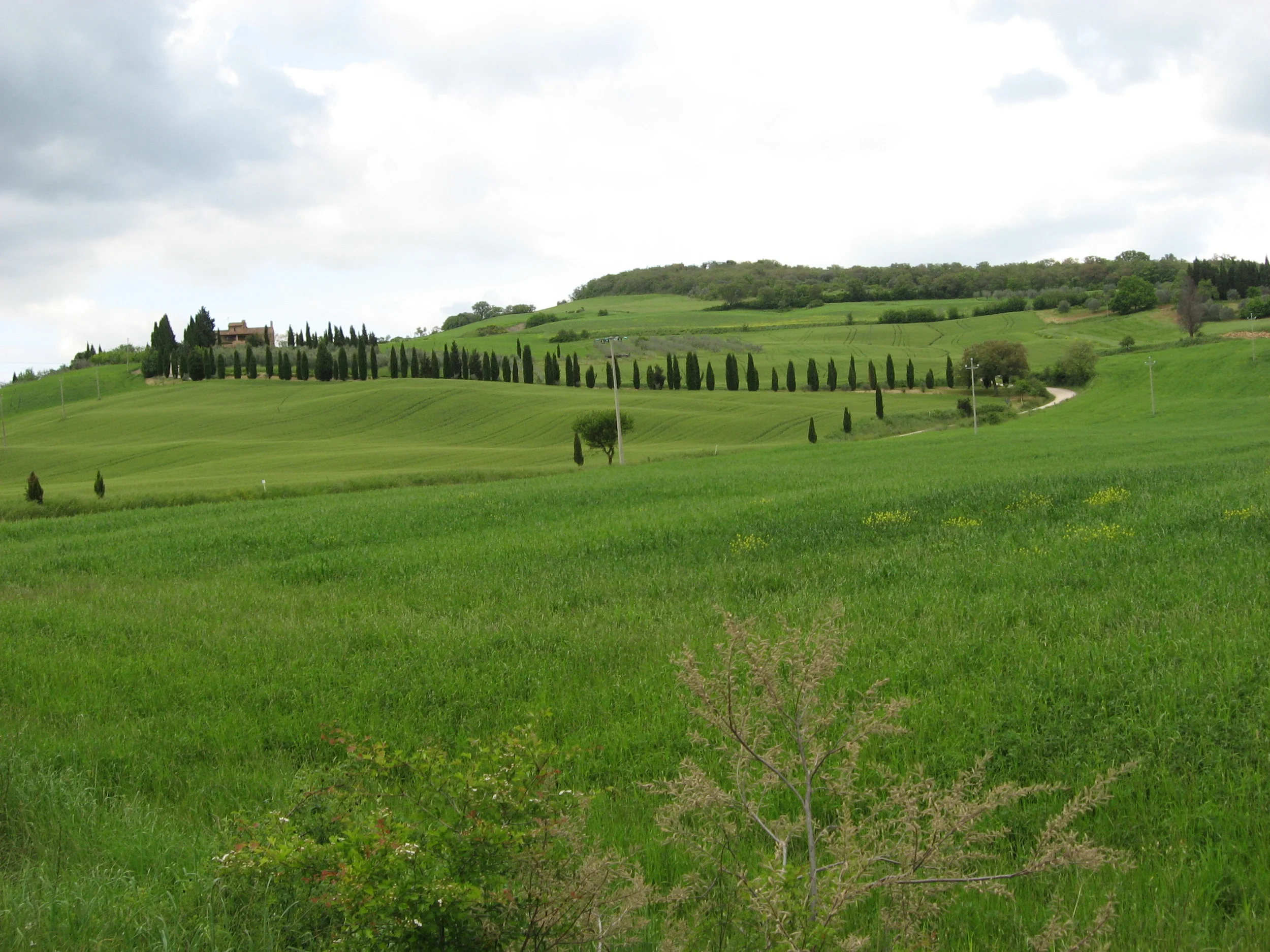 cycling in tuscany italy