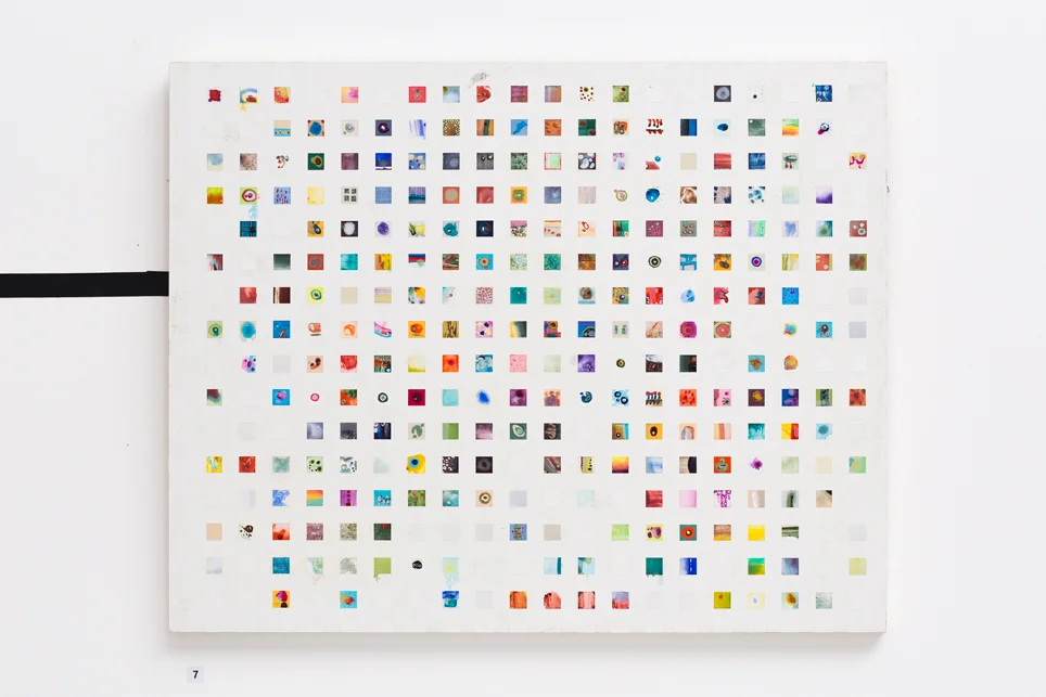   Sample Cultivation (part b) , 2015 