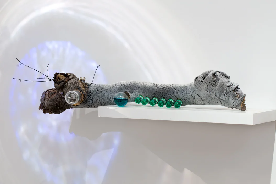 Experiment of Imaginary Science 2 , 2015.