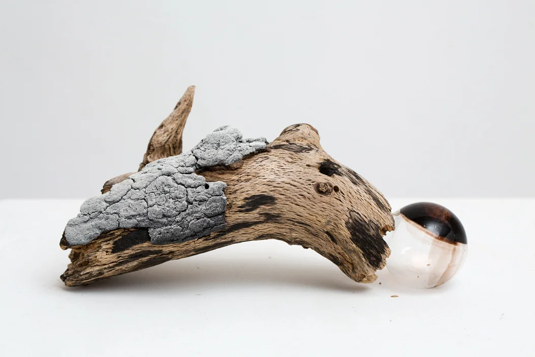   Experiment Tool 1 , 2015. 