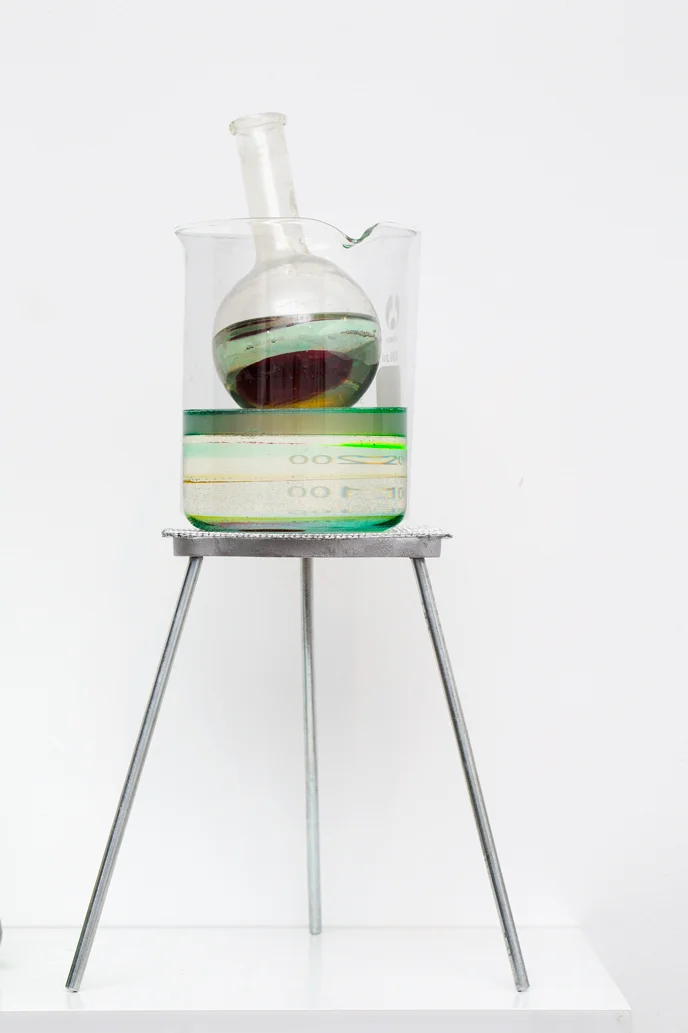   Self Experimental 3 , 2015. 