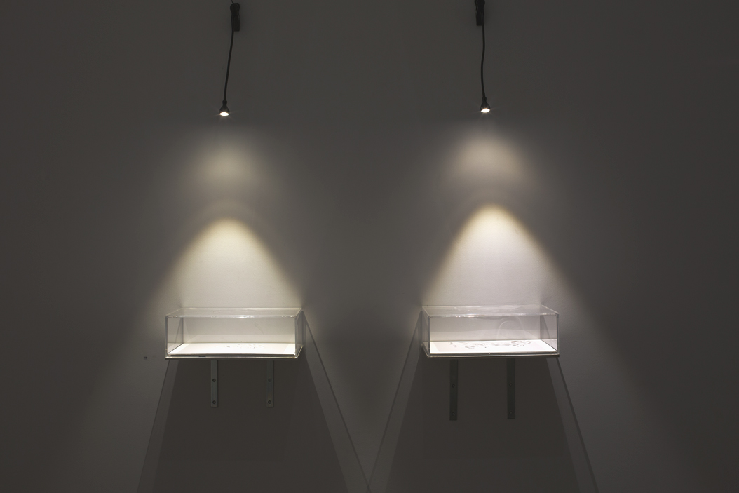   The Drawing Presents Itself , 2015. 