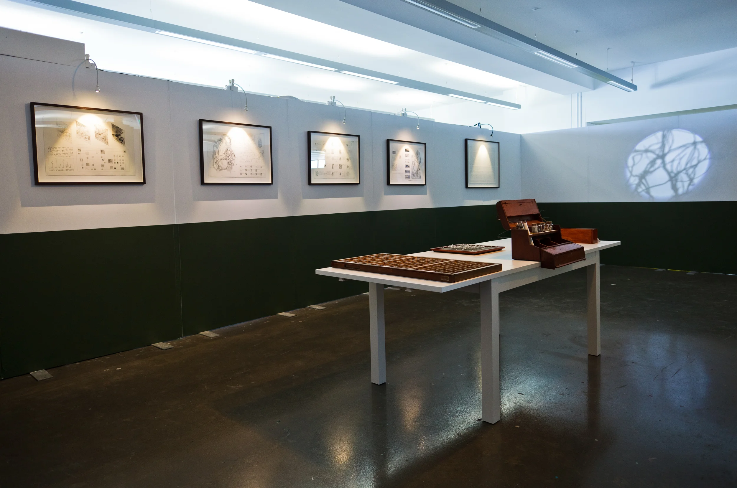 Museum of Imaginary Science