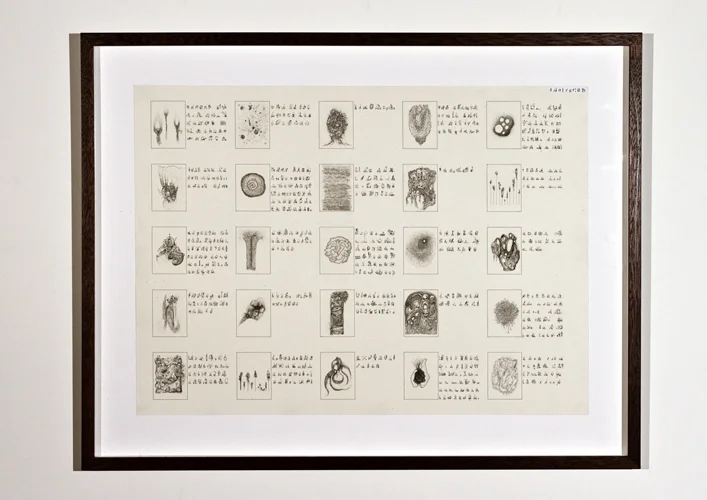   Information Chart II,  2012. 