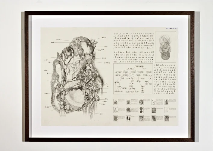 Information Chart III , 2012.