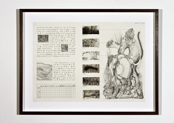   Information Chart I , 2012. 