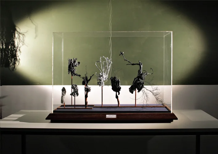   Display Case , 2012. 