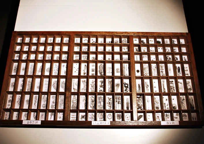   Category Tray , 2012. 