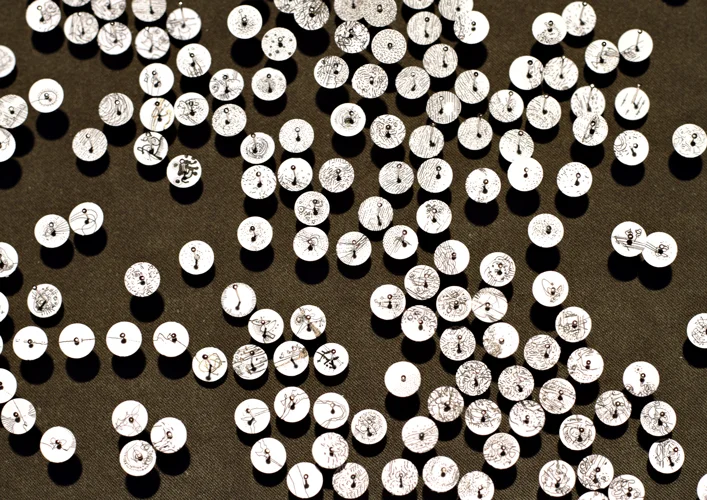   Taxidermic Samples  (detail), 2012. 