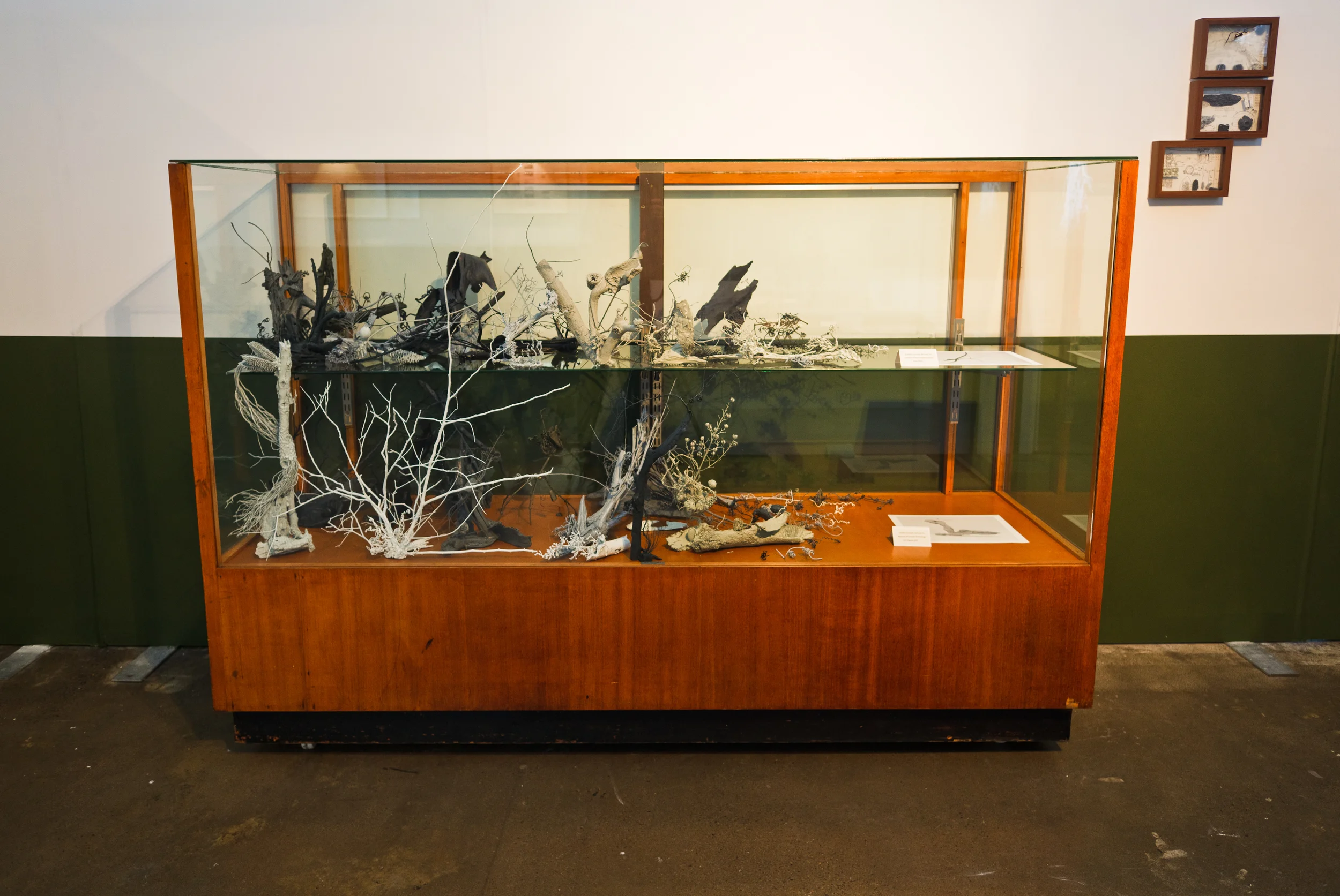   Display Cabinet , 2012. 