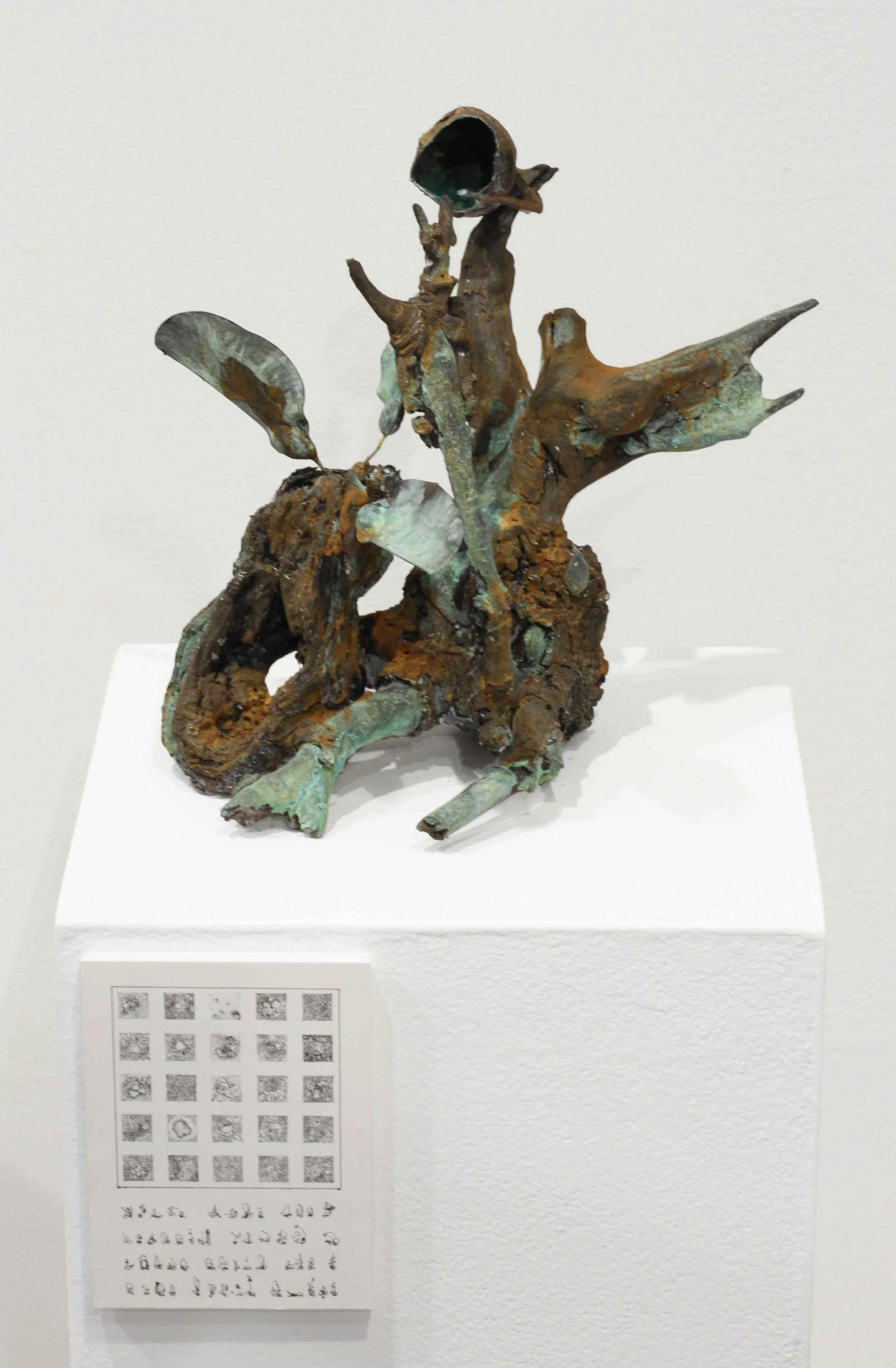   On Loan..., C ollected organic materials, iron and brass patina, ink on paper,  2013.  