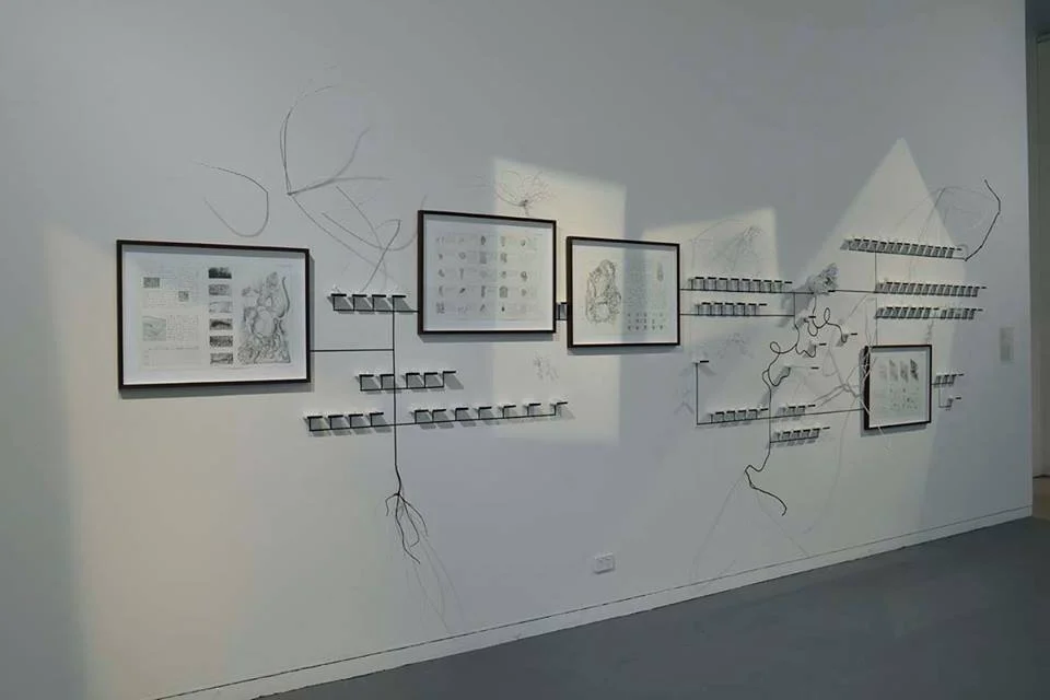   On Loan from the Museum of Imaginary Science   Hatched: National Graduate Show at Perth Institute of Contemporary Arts, 2013. 