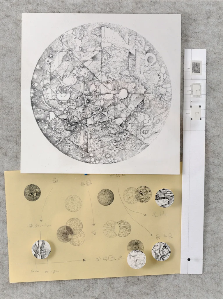   Hypothesis 1 , ink on paper, pins, pinboard, 2015  Image Credit: Document Photography 