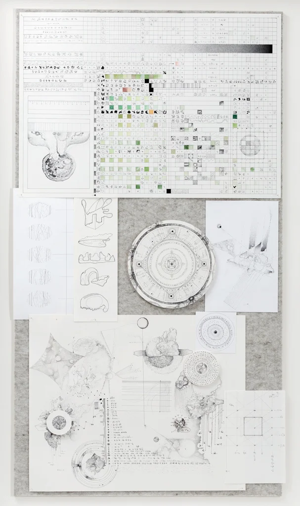 Hypothesis 8 , ink on paper, pins, cotton thread, colour pencil, pinboard, 2015 Image Credit: Document Photography